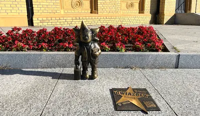 Gwiazdek Podróżnik - Starogard Gdański